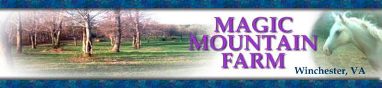 Magic Mountain Farm